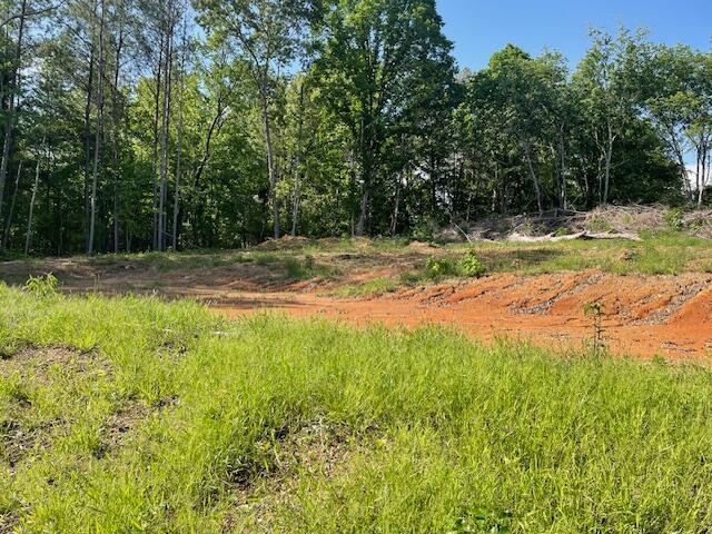 6283 Cooley Road, Harrison, Tennessee image 9