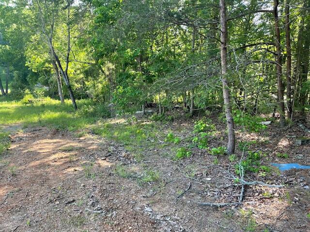 6283 Cooley Road, Harrison, Tennessee image 4