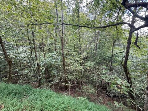 Tiny photo for 0 Chancel Circle, Ellijay, GA 30540 (MLS # 1525212)