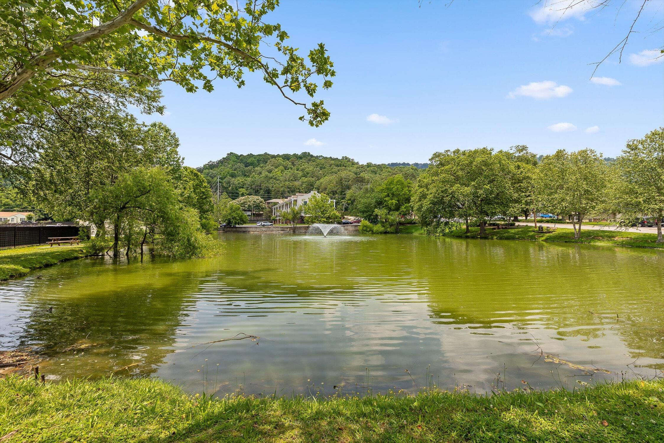 900 Mountain Creek Road #P234, Chattanooga, Tennessee image 23