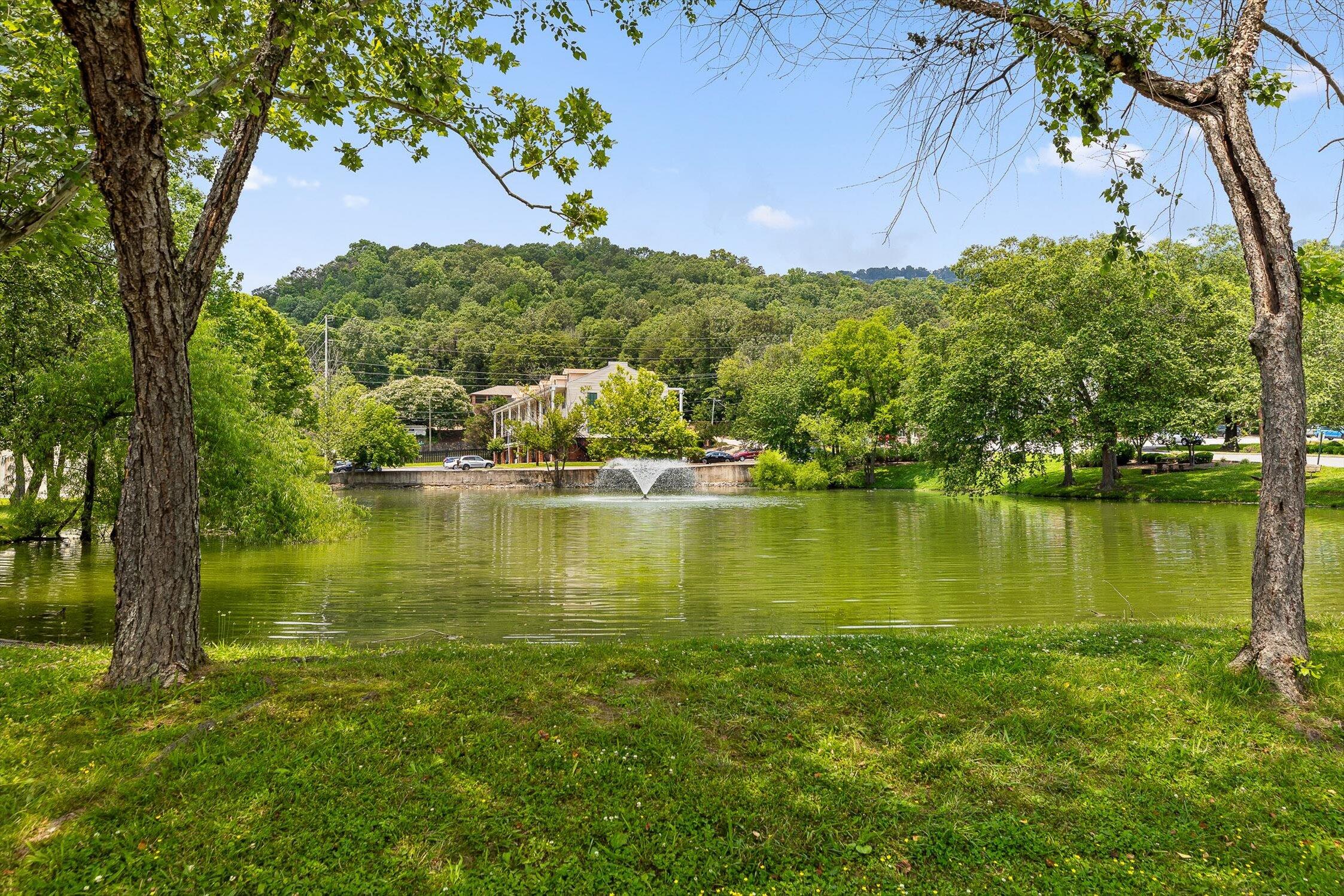900 Mountain Creek Road #P234, Chattanooga, Tennessee image 24