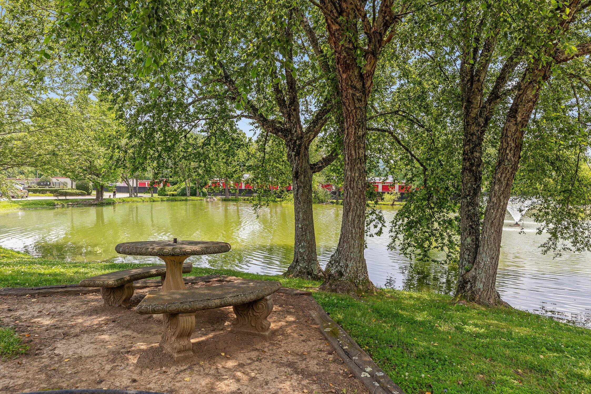 900 Mountain Creek Road #P234, Chattanooga, Tennessee image 25