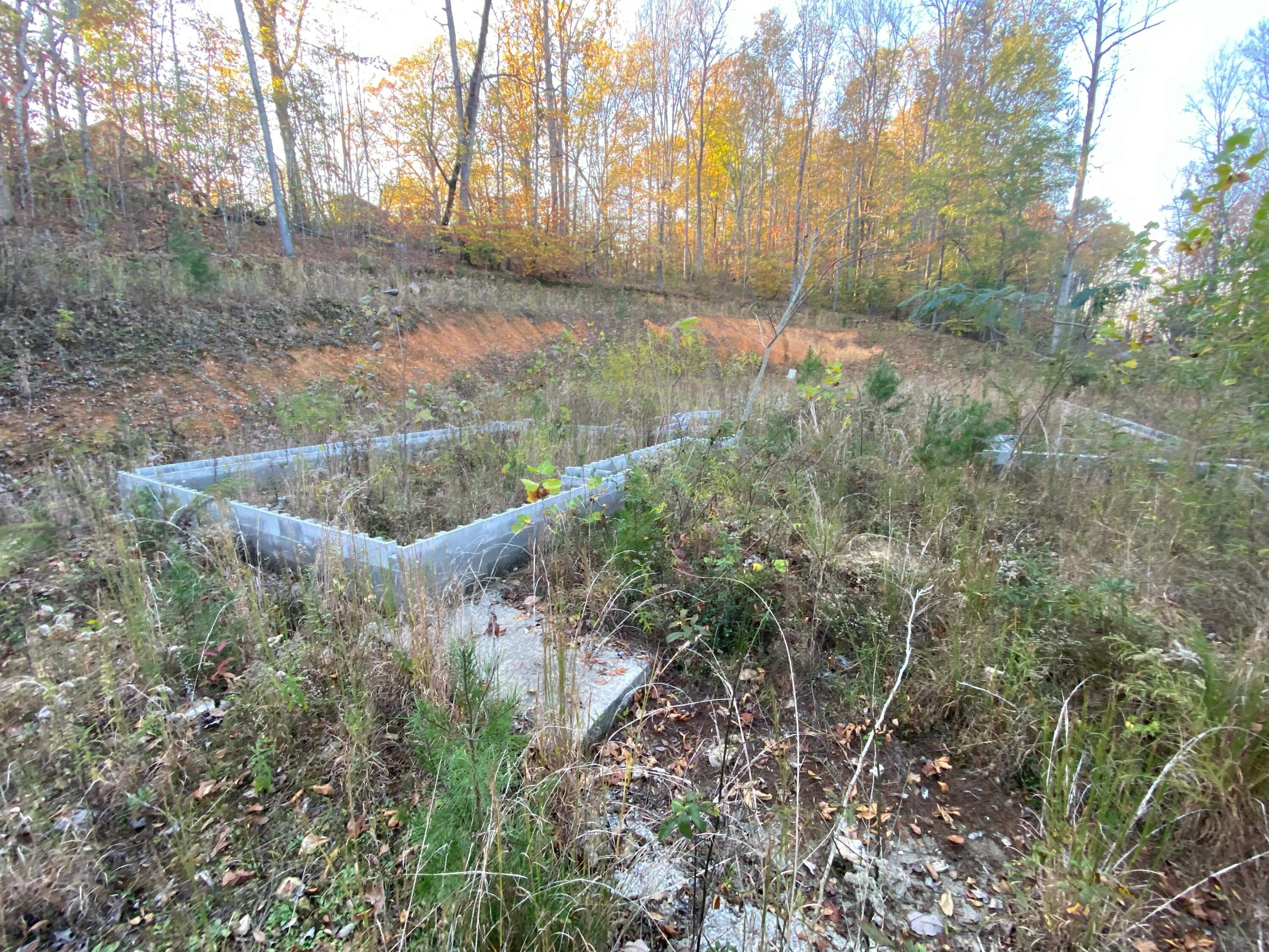135 David Brown Road, Jasper, Tennessee image 4