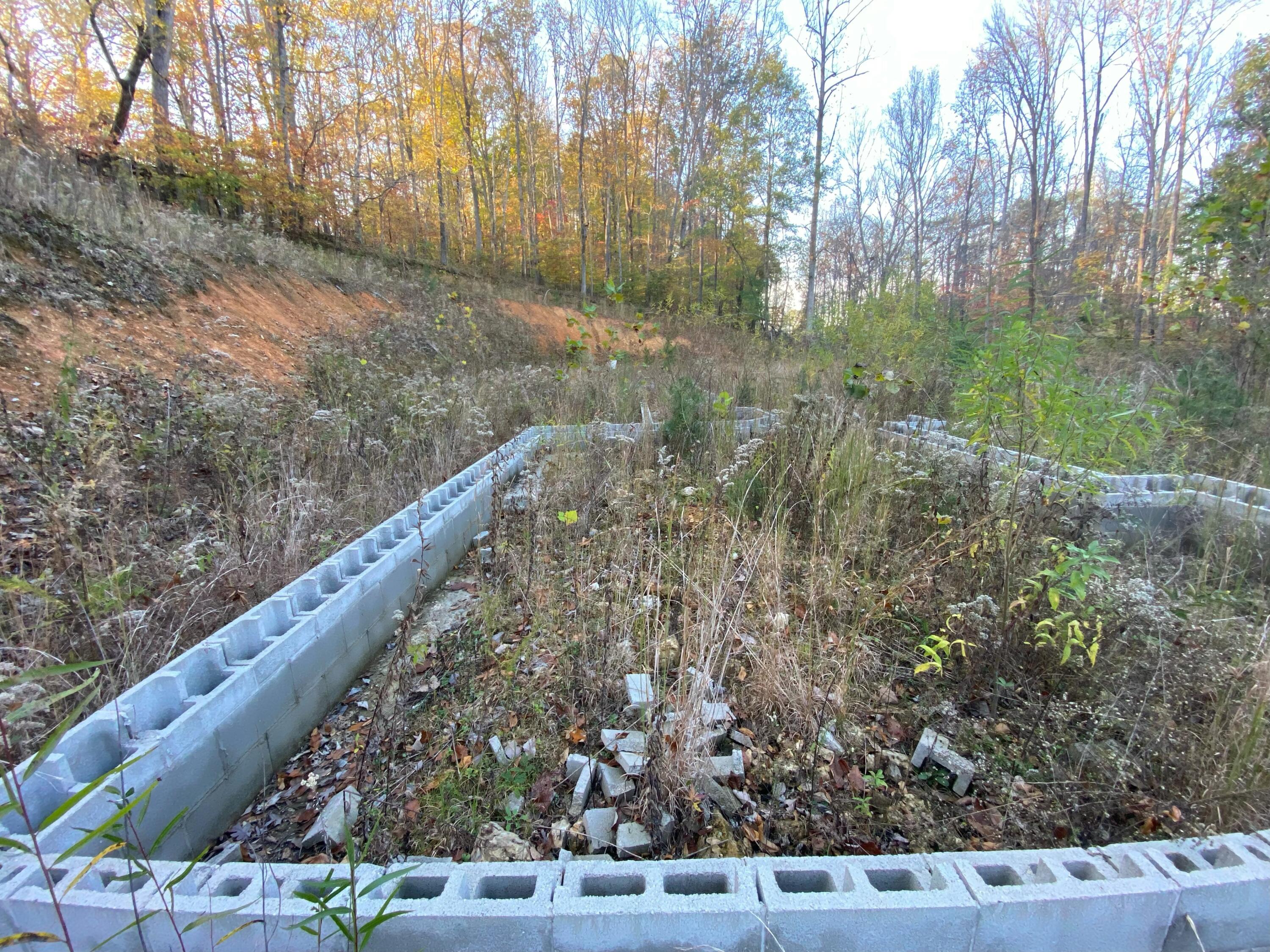 135 David Brown Road, Jasper, Tennessee image 6