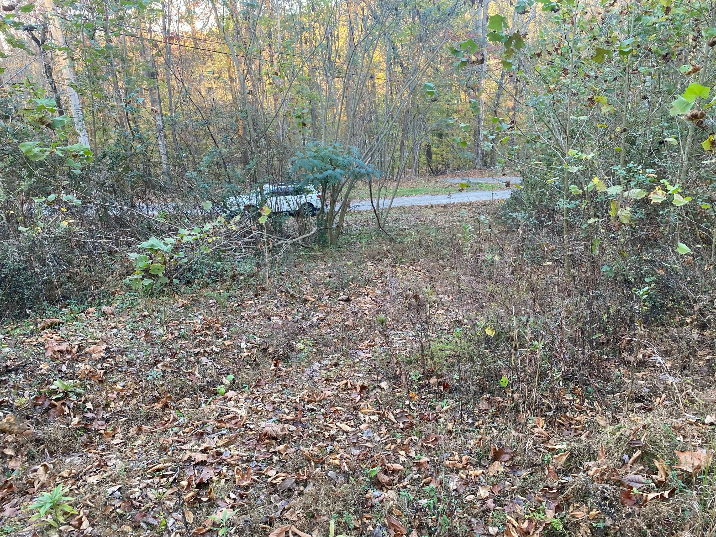 135 David Brown Road, Jasper, Tennessee image 1