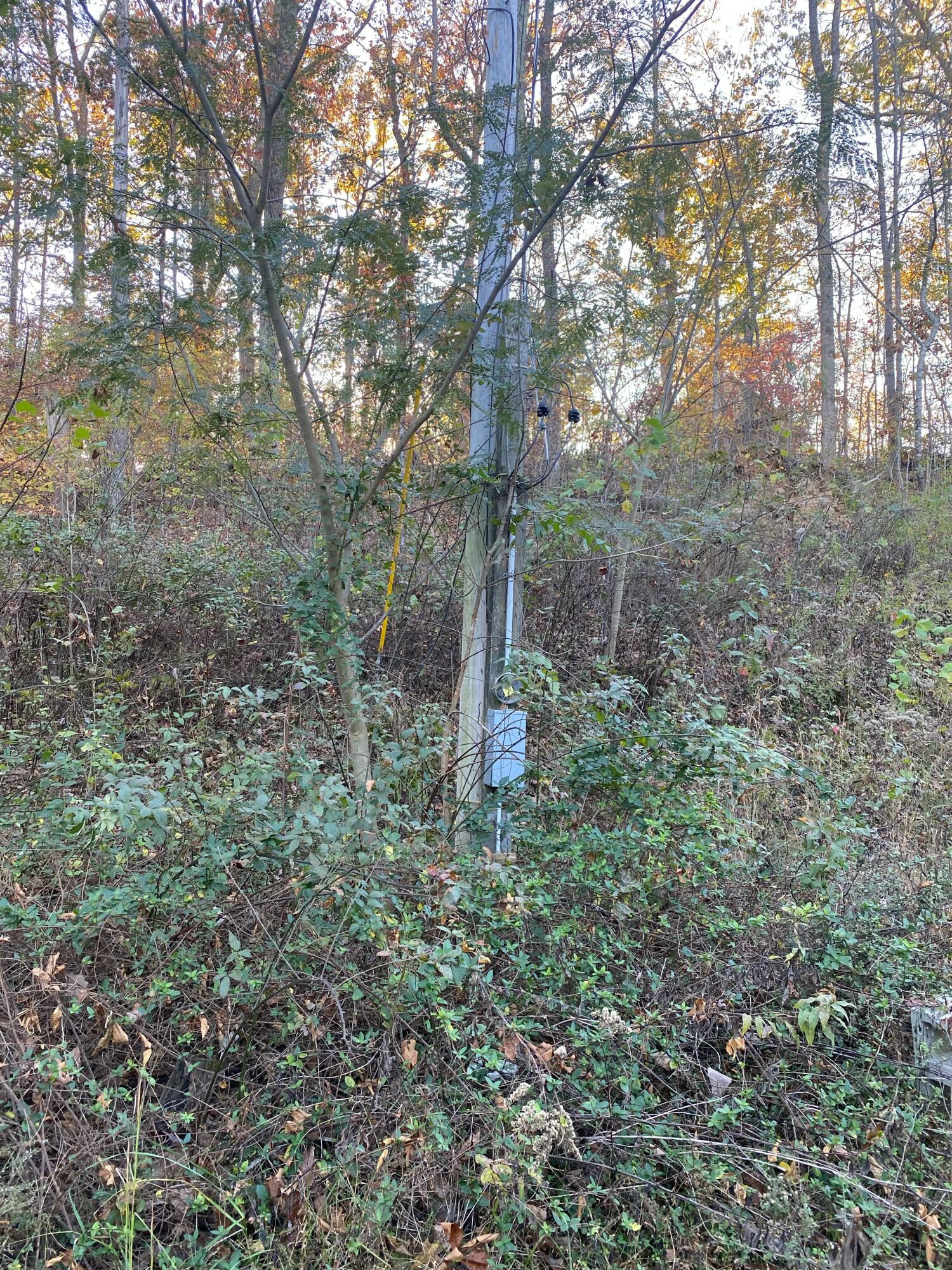 135 David Brown Road, Jasper, Tennessee image 9