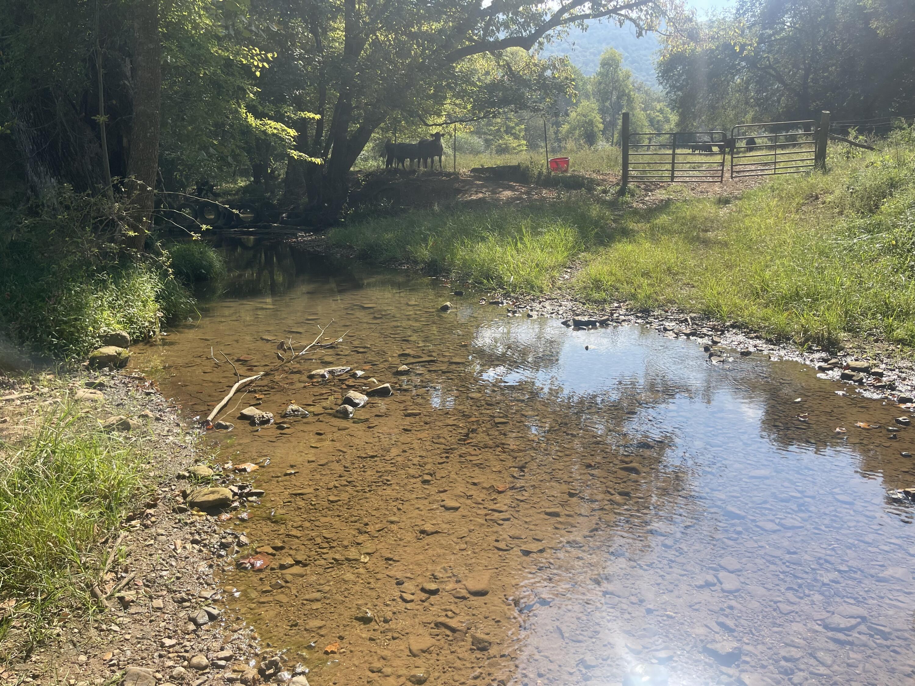 12 Upper East Valley Road, Pikeville, Tennessee image 8
