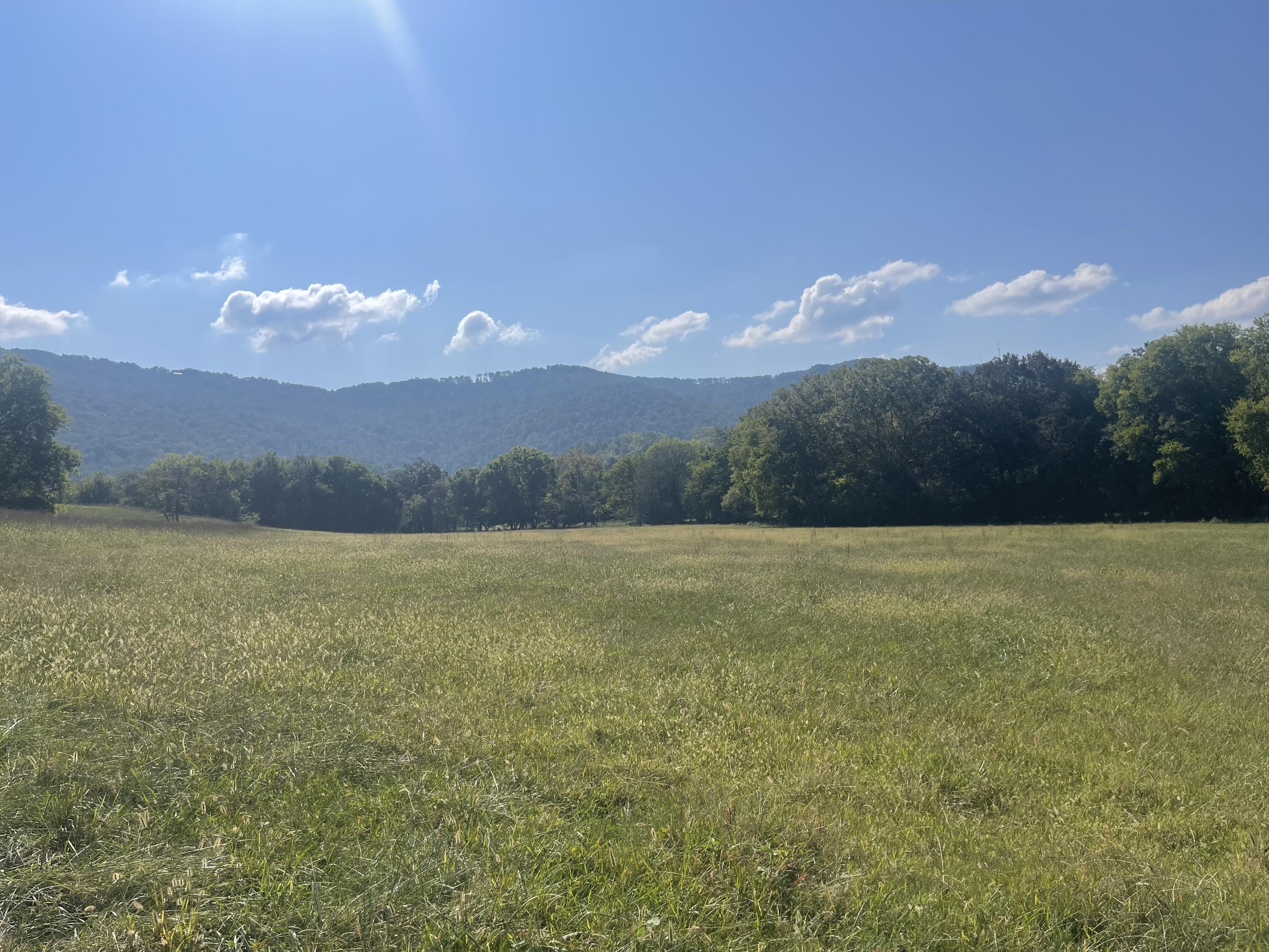 12 Upper East Valley Road, Pikeville, Tennessee image 4