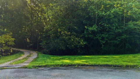 Photo of 8231 Rolling Stone Lane, Ooltewah, TN 37363 (MLS # 1540798)
