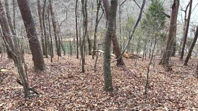 0 Pearson Road Tract 2