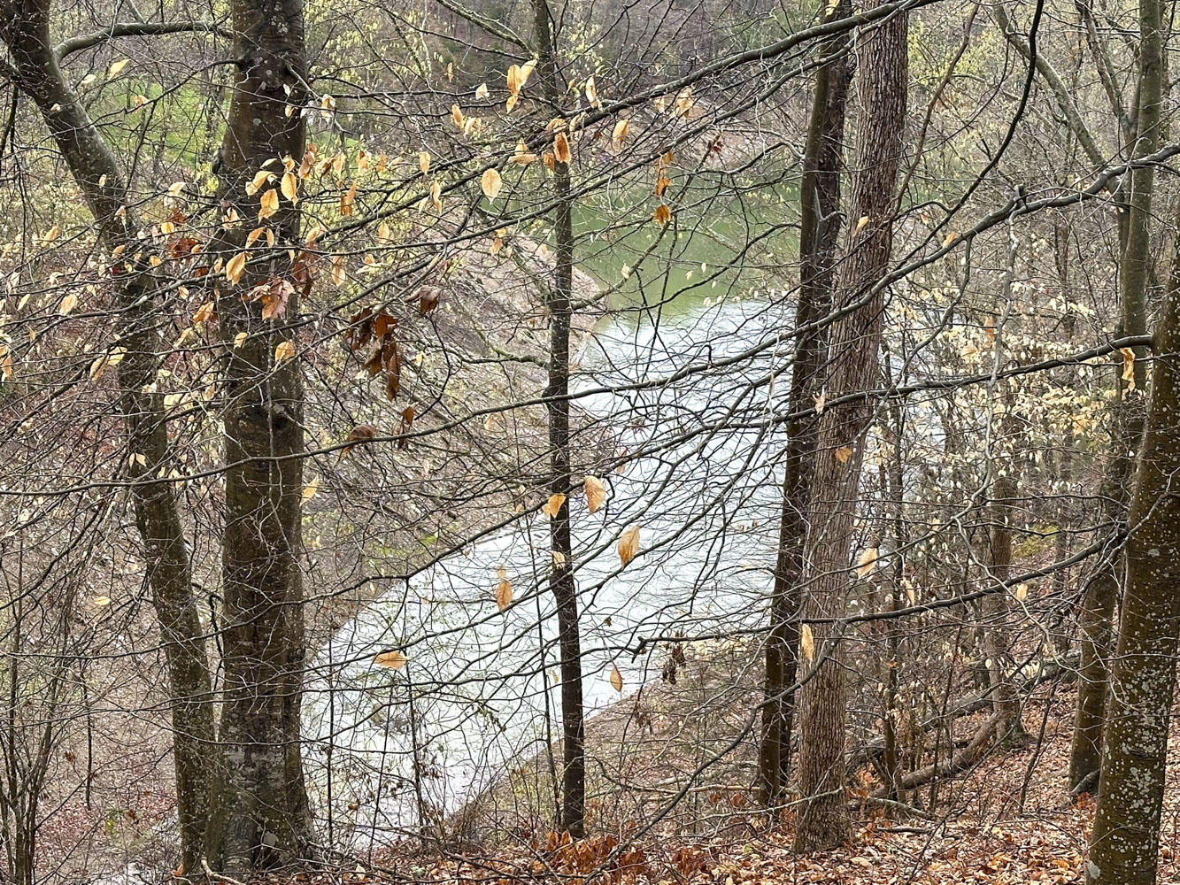 David Swann Drive, Dandridge, Tennessee image 11