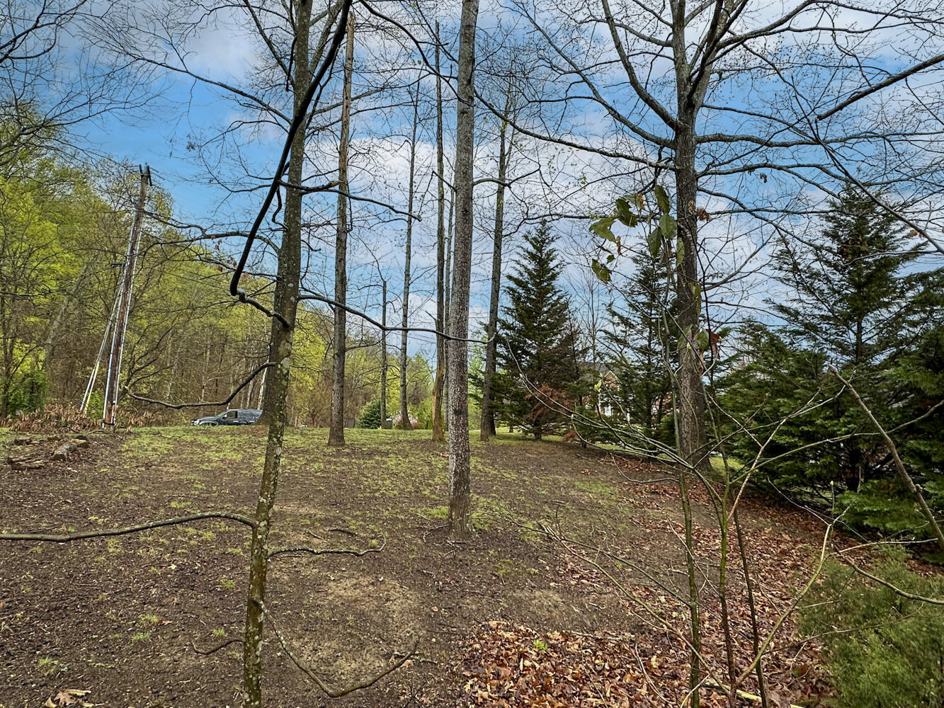 David Swann Drive, Dandridge, Tennessee image 23