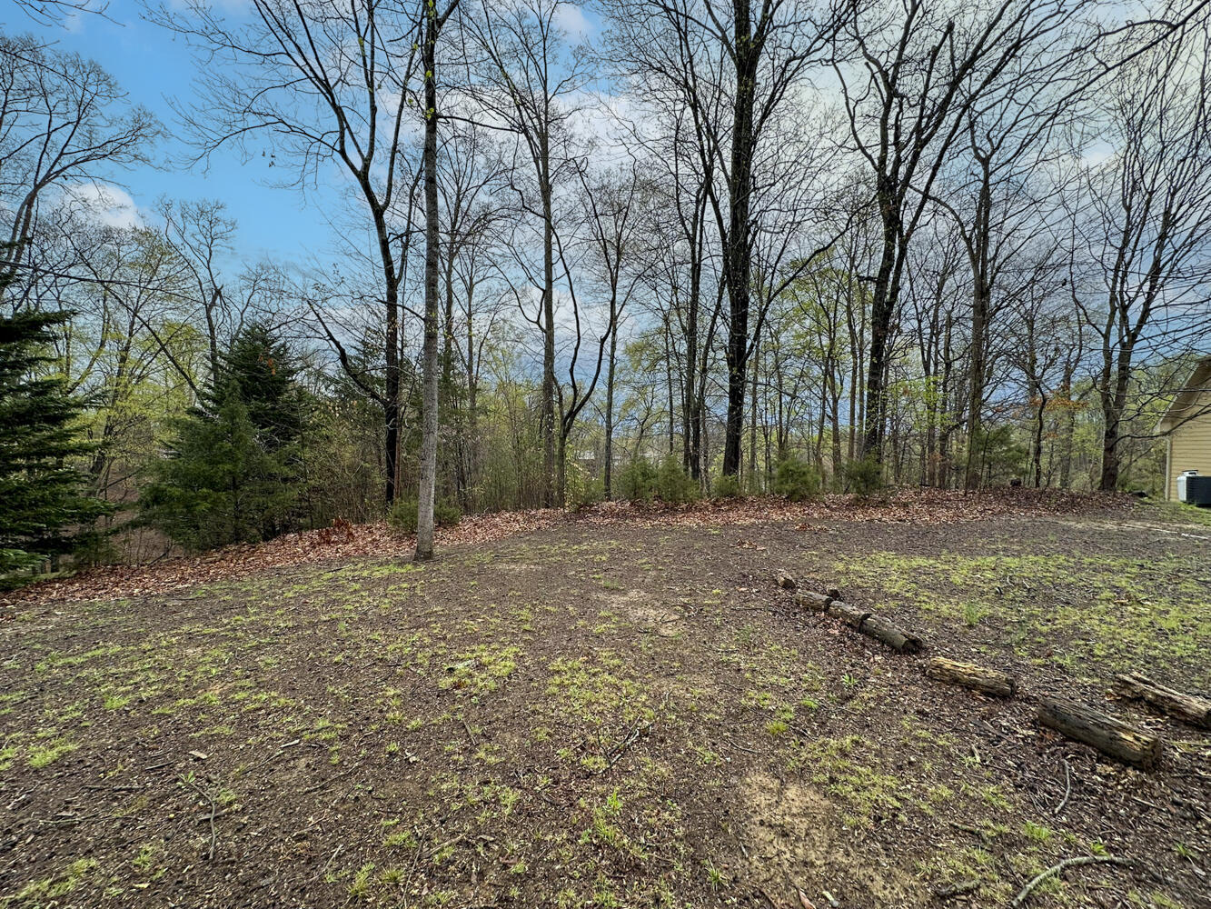 David Swann Drive, Dandridge, Tennessee image 8
