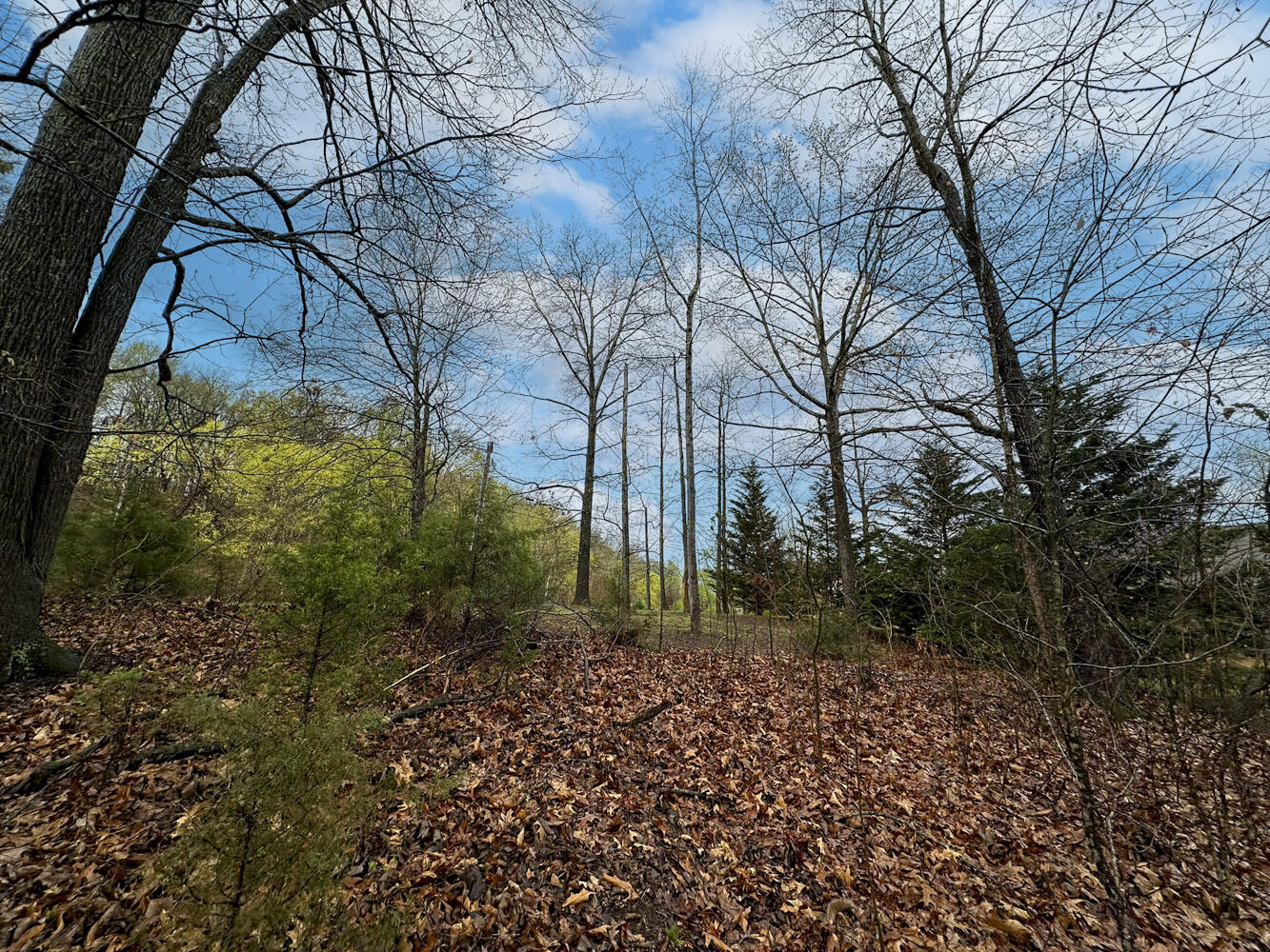 David Swann Drive, Dandridge, Tennessee image 20