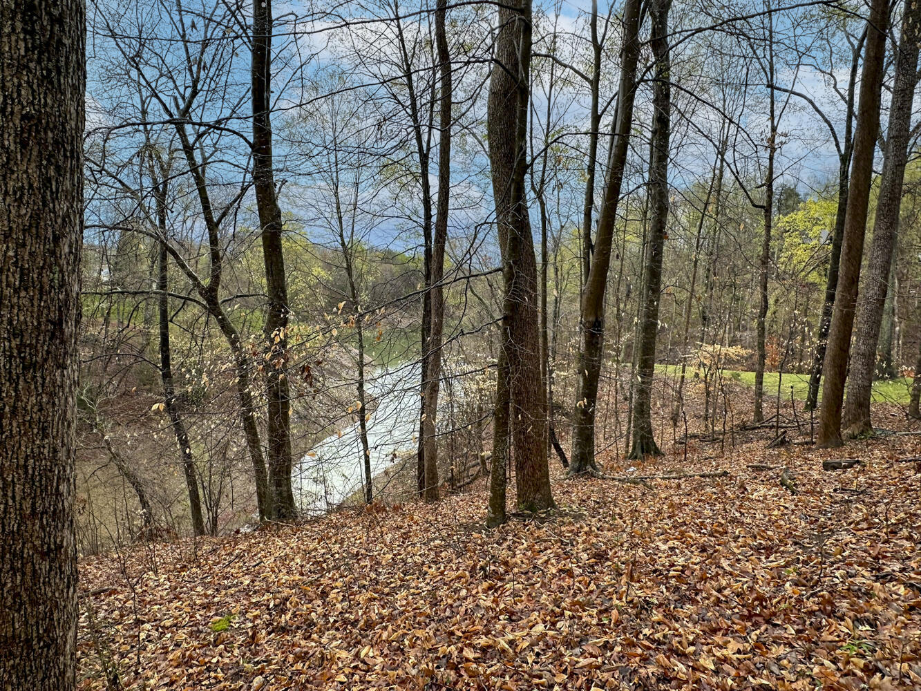 David Swann Drive, Dandridge, Tennessee image 19