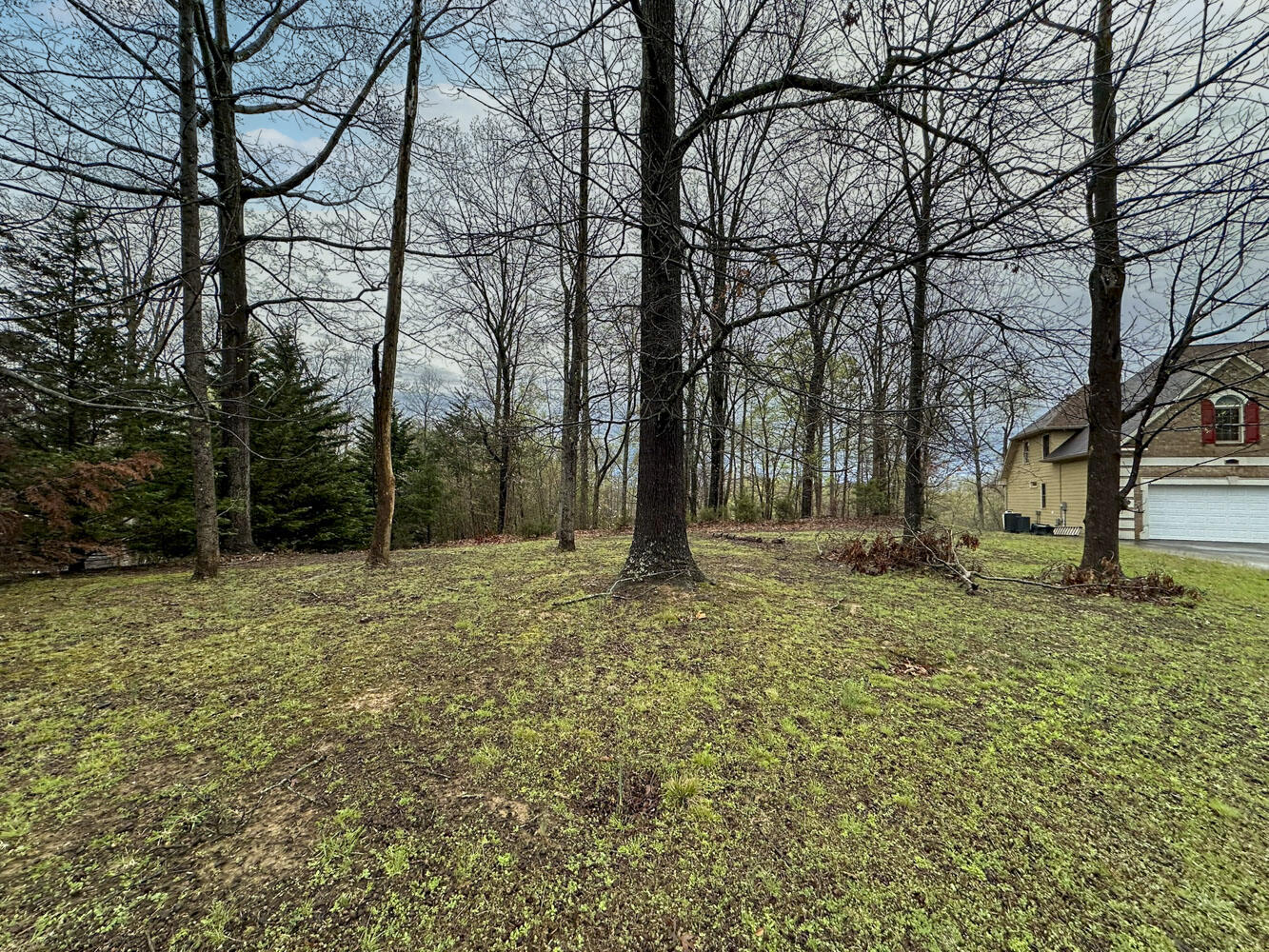 David Swann Drive, Dandridge, Tennessee image 6