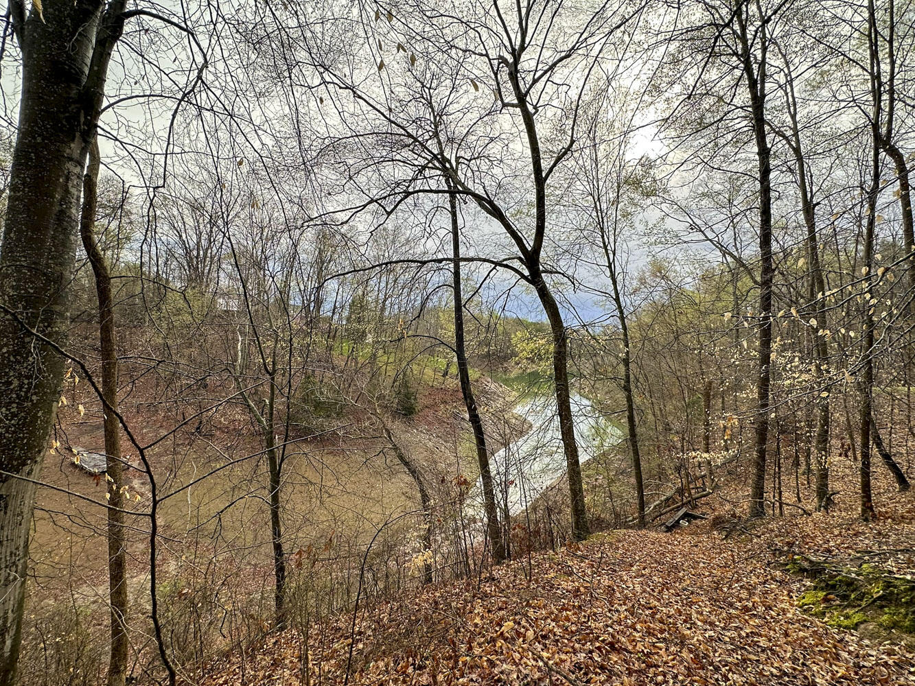 David Swann Drive, Dandridge, Tennessee image 17