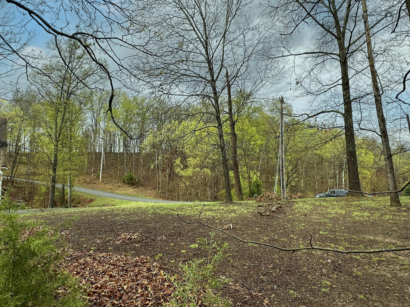 David Swann Drive, Dandridge, Tennessee image 21