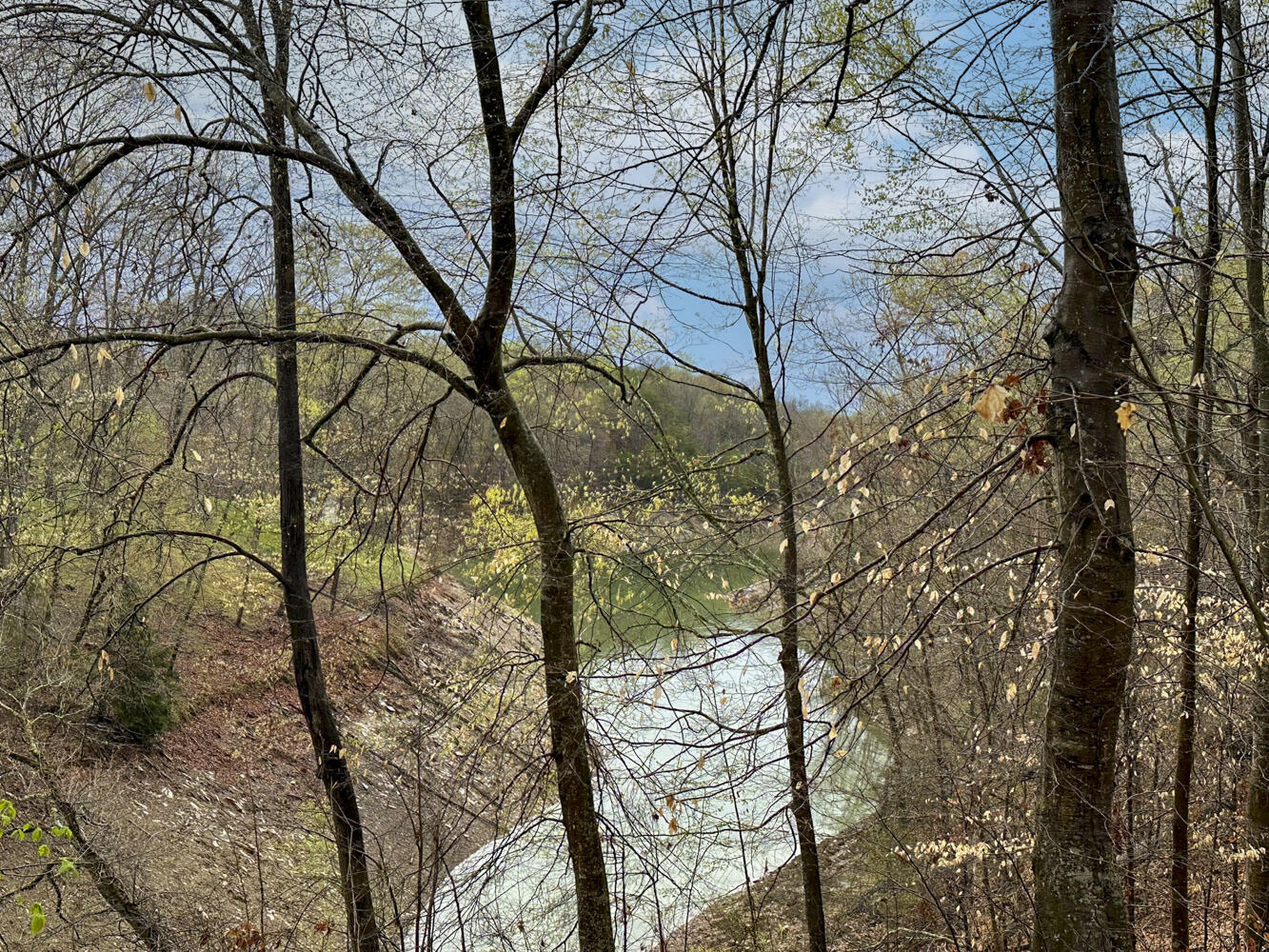 David Swann Drive, Dandridge, Tennessee image 14