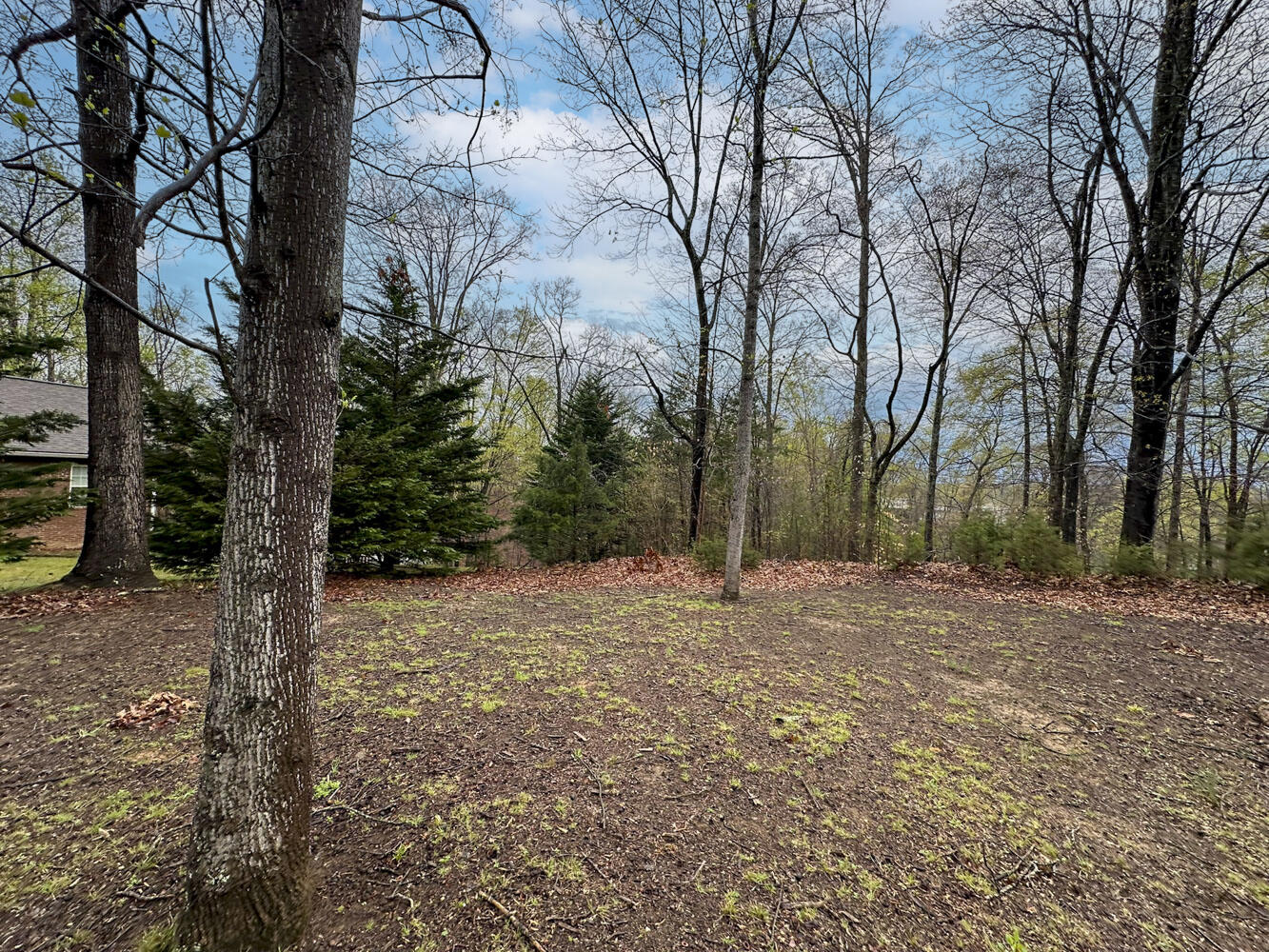 David Swann Drive, Dandridge, Tennessee image 7