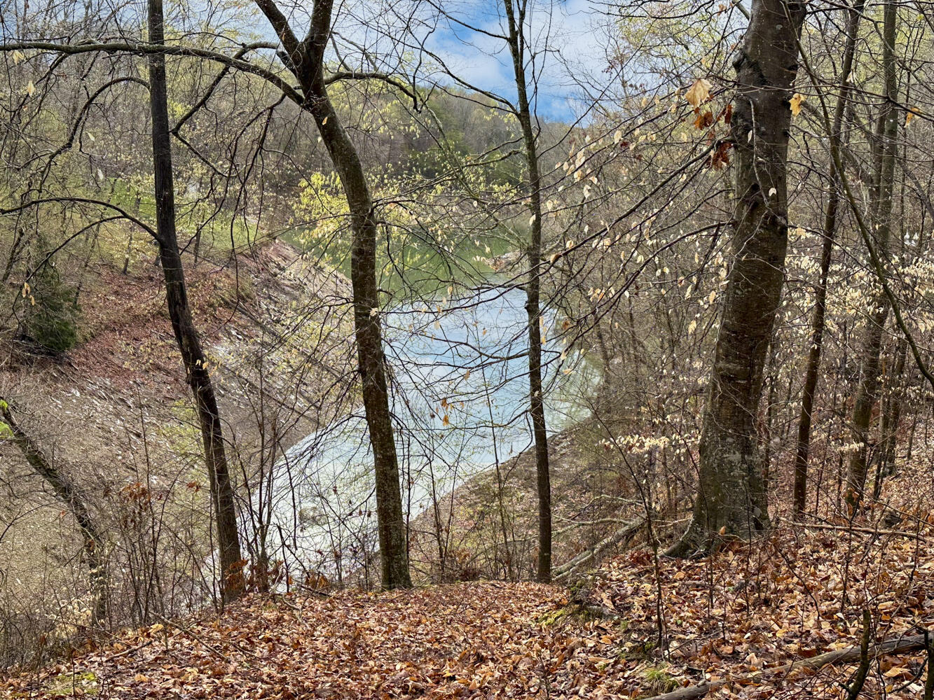 David Swann Drive, Dandridge, Tennessee image 13