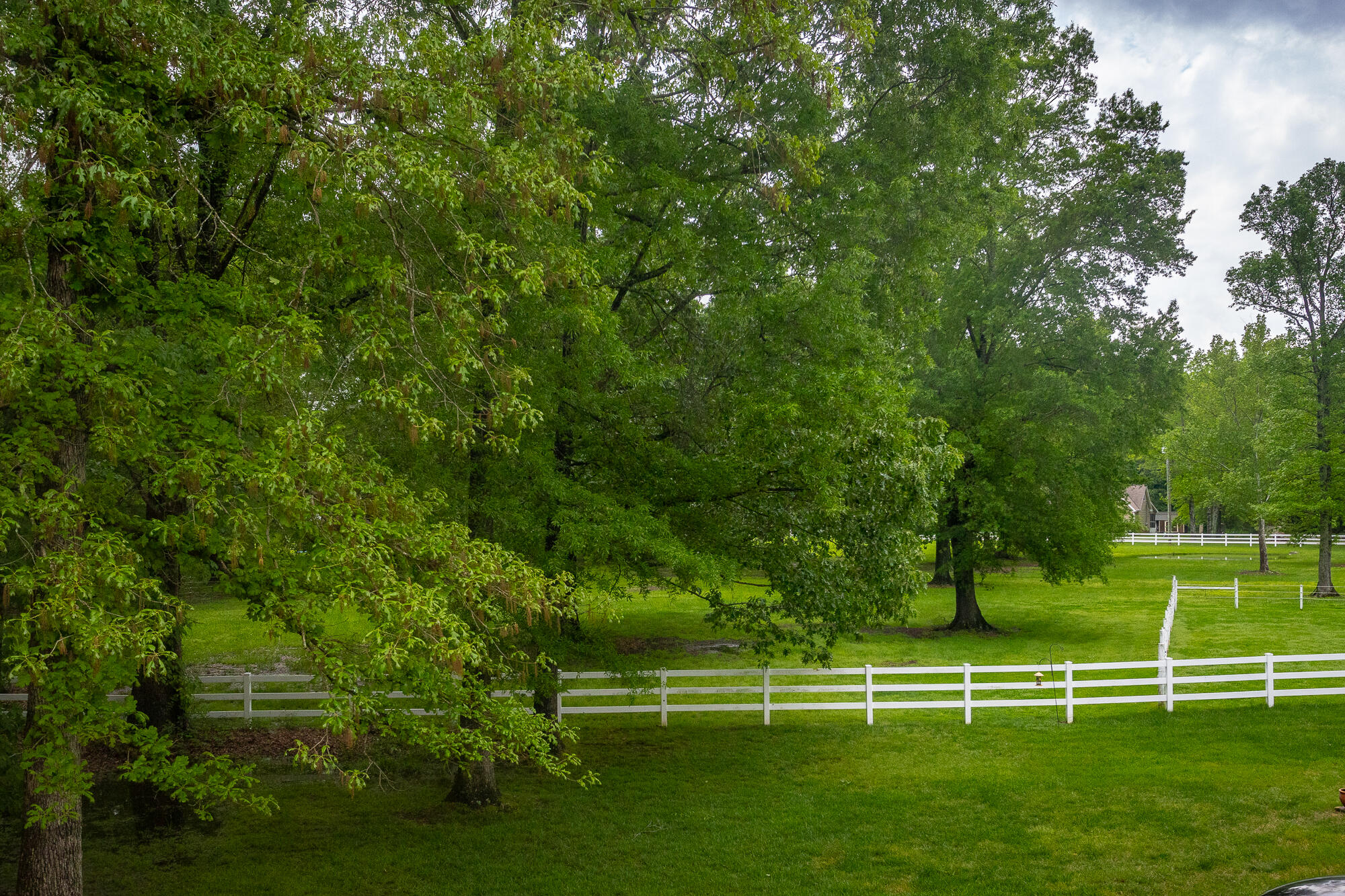 6802 Autumn Lake Trail, Hixson, Tennessee image 39
