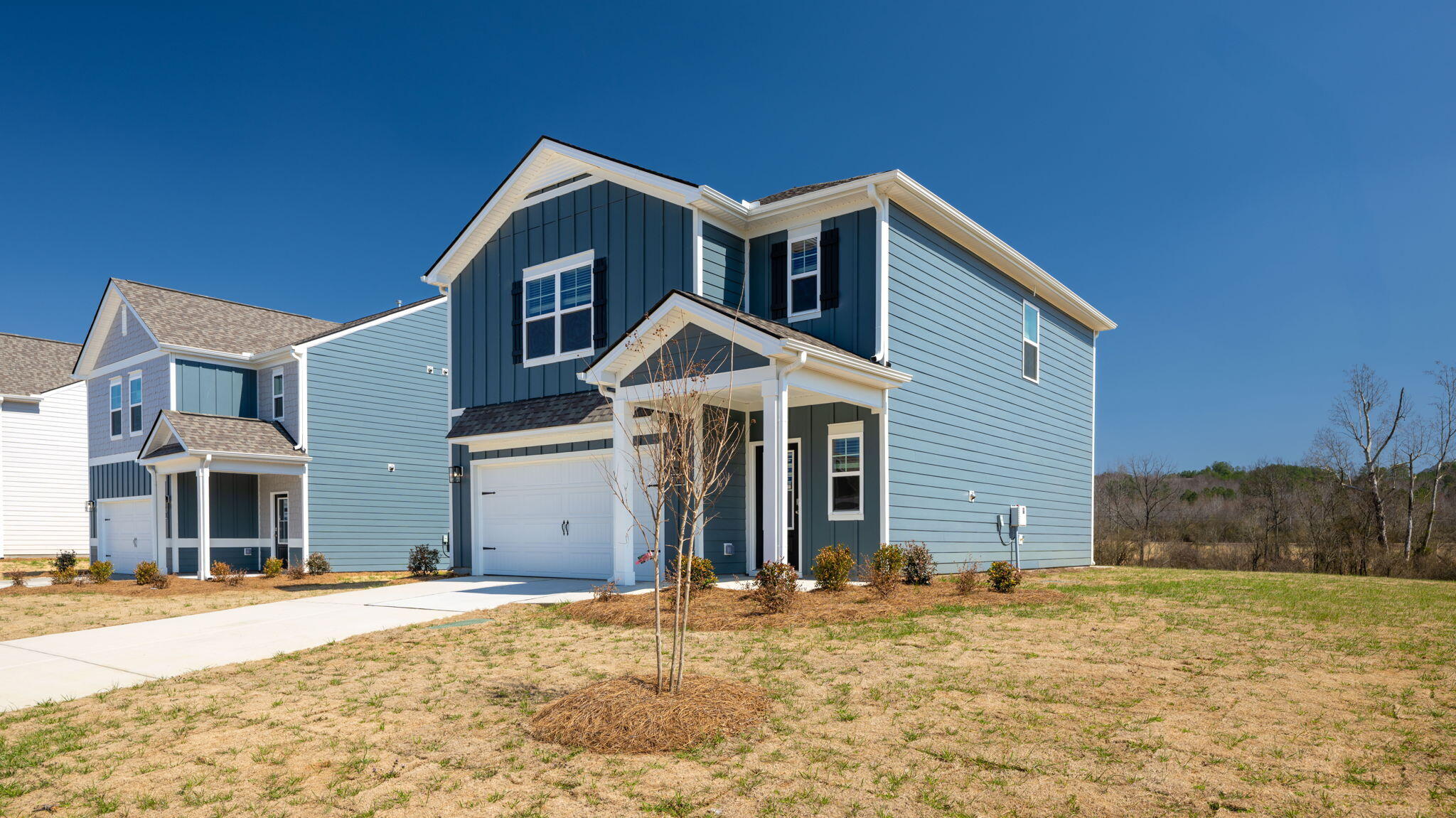 10794 Upland Drive, Apison, Tennessee image 6