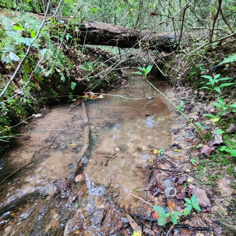 Vacant Land For Sale - Sr 108<br/> Gruetli Laager, TN 37339