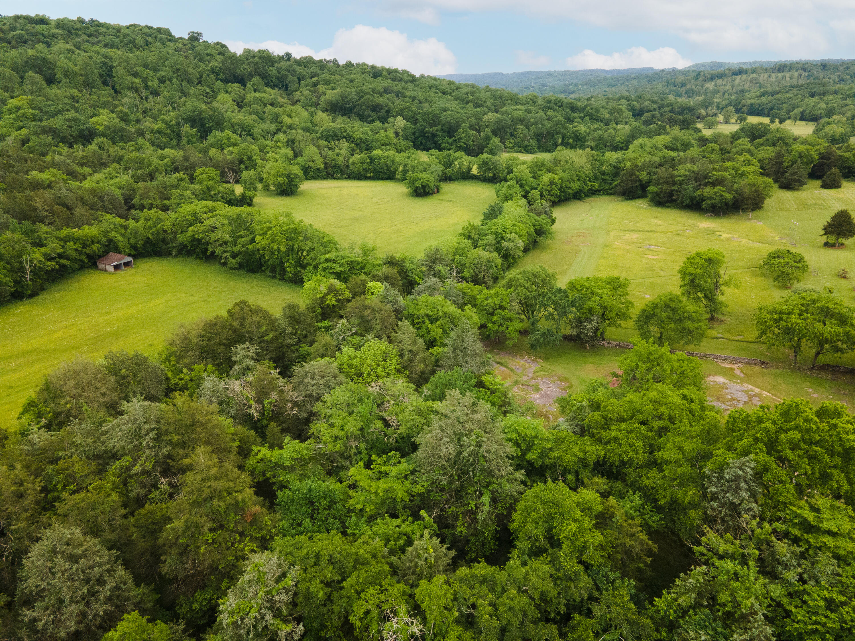 29 Roger Monk Road Rd, Petersburg, Tennessee image 13
