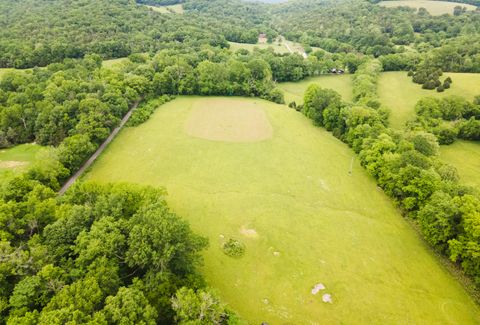 Tiny photo for 29 Roger Monk Road Rd, Petersburg, TN 37144 (MLS # 1513833)