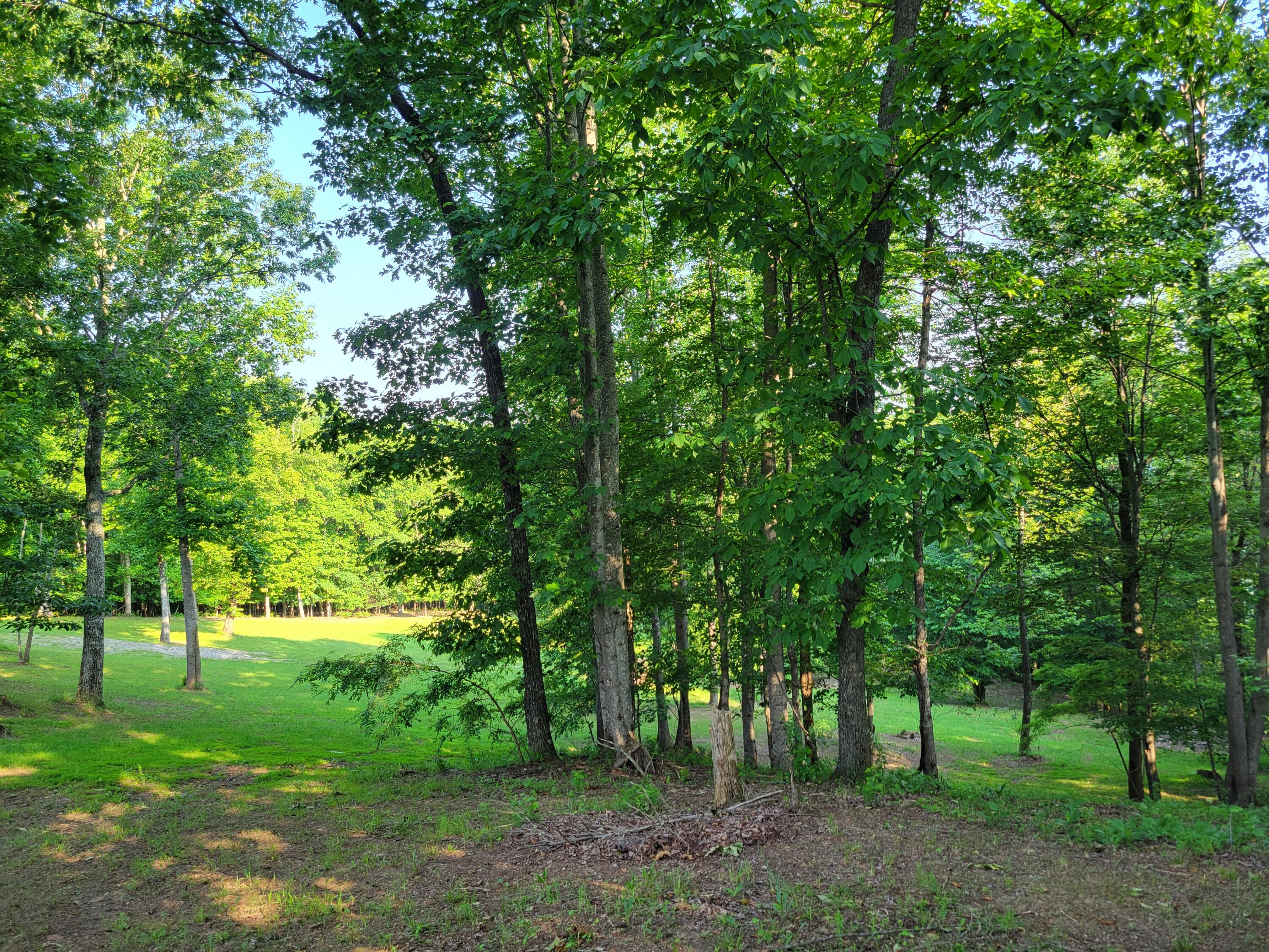 690 Preservation Drive #34, South Pittsburg, Tennessee image 21