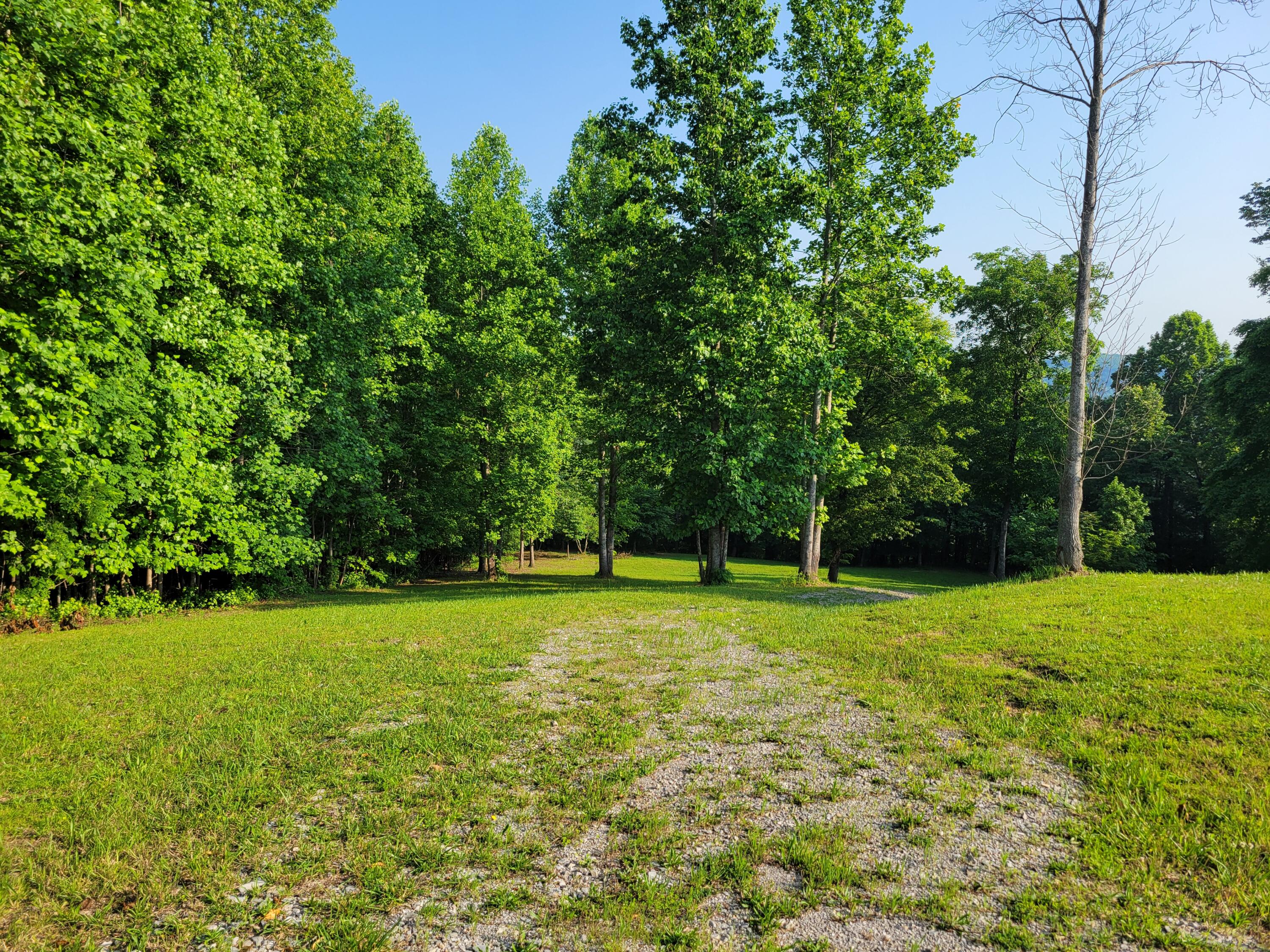 690 Preservation Drive #34, South Pittsburg, Tennessee image 4
