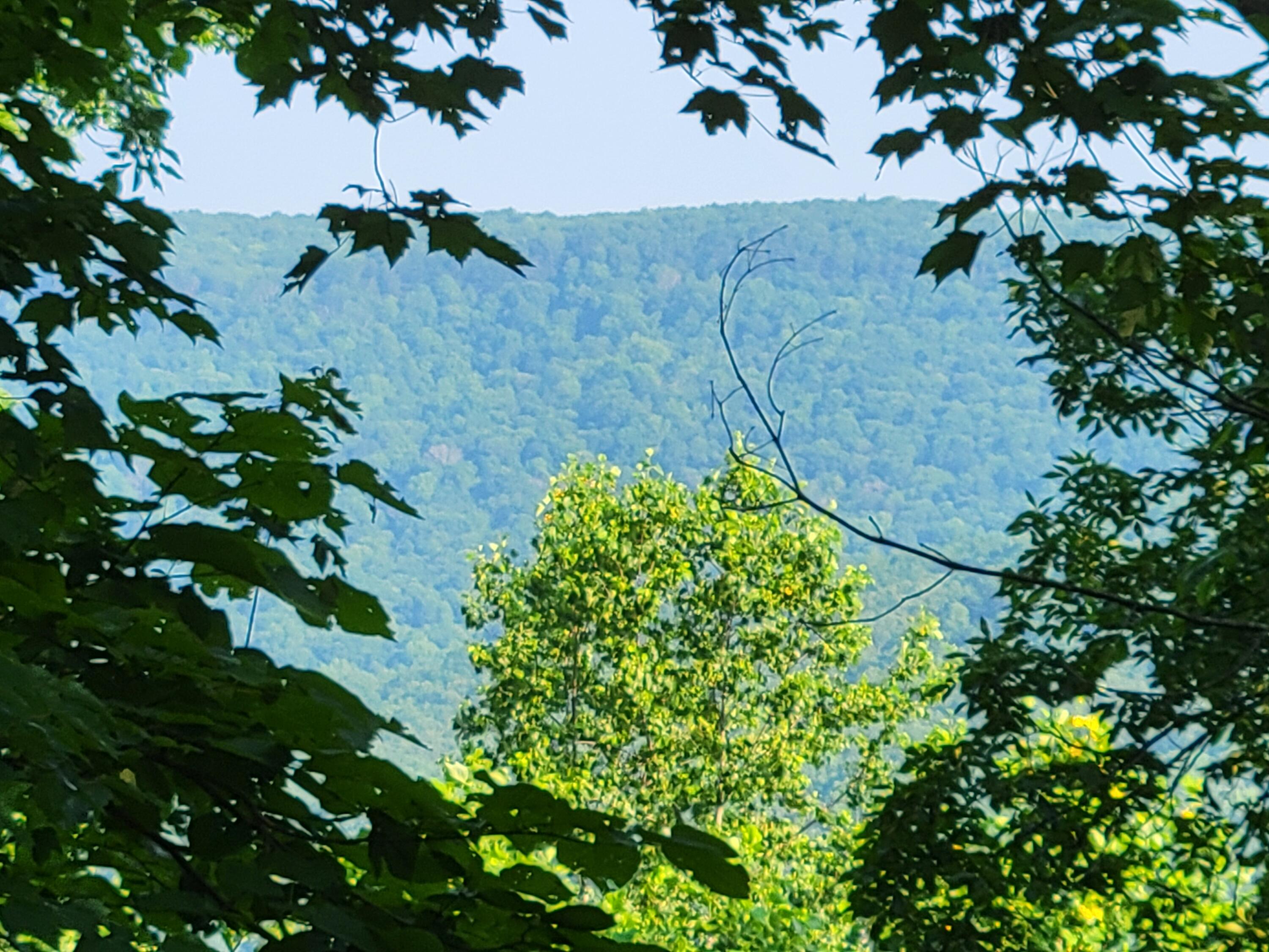 690 Preservation Drive #34, South Pittsburg, Tennessee image 27