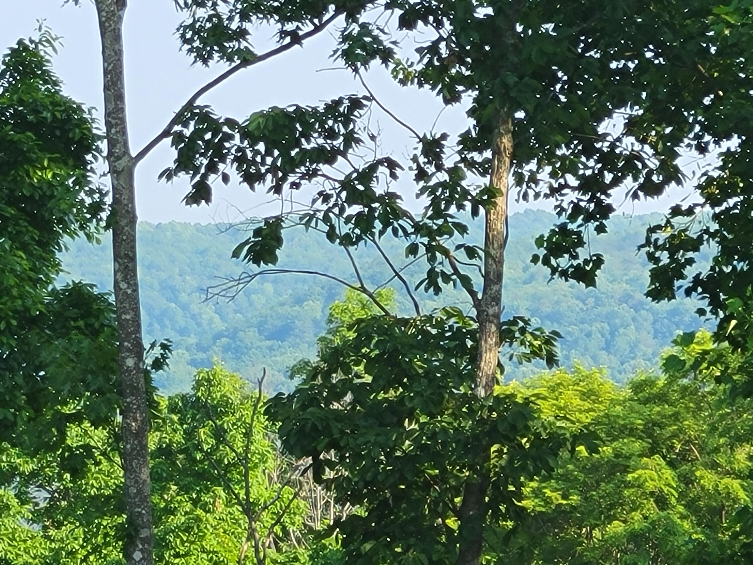 690 Preservation Drive #34, South Pittsburg, Tennessee image 28