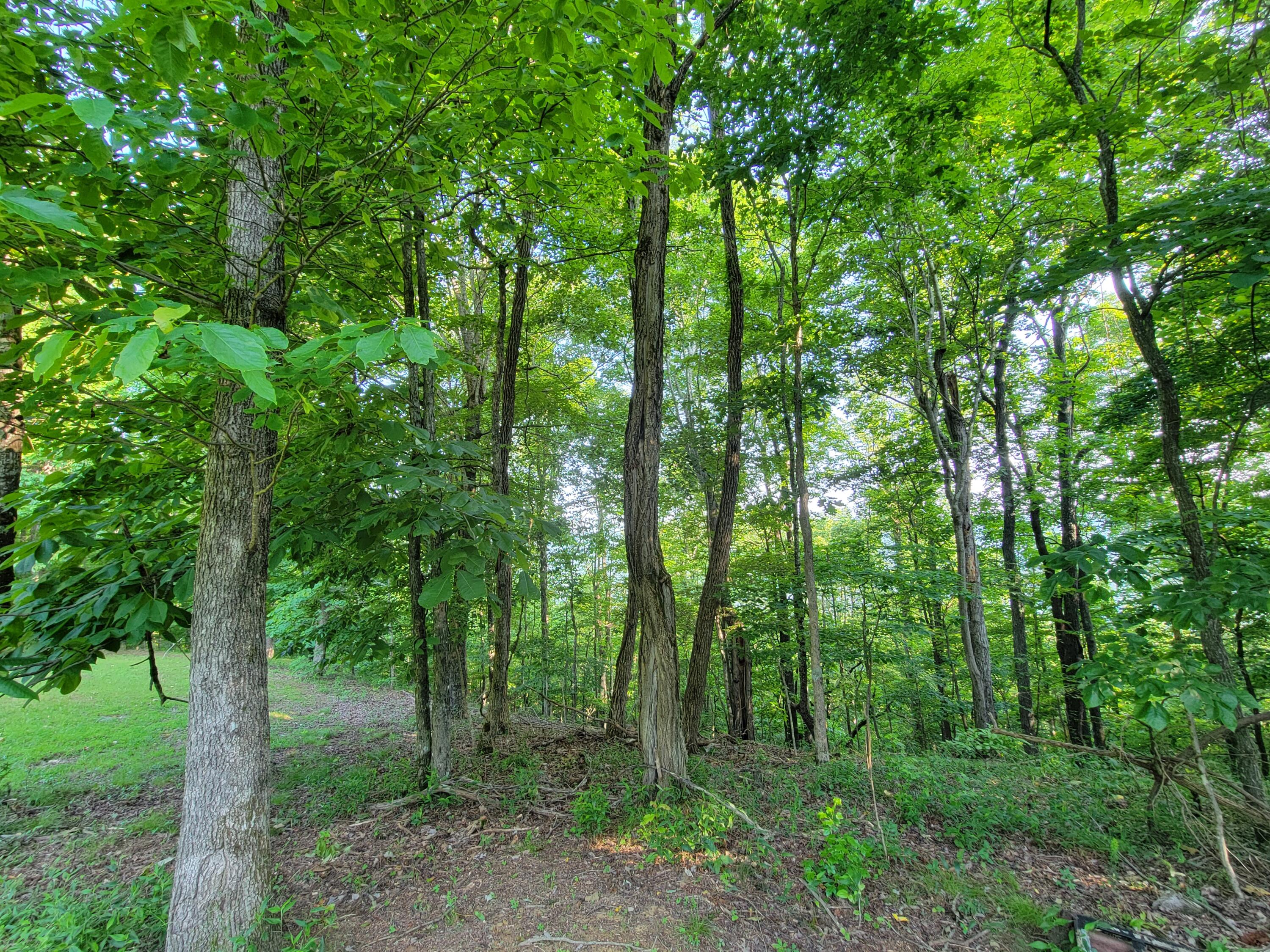 690 Preservation Drive #34, South Pittsburg, Tennessee image 12