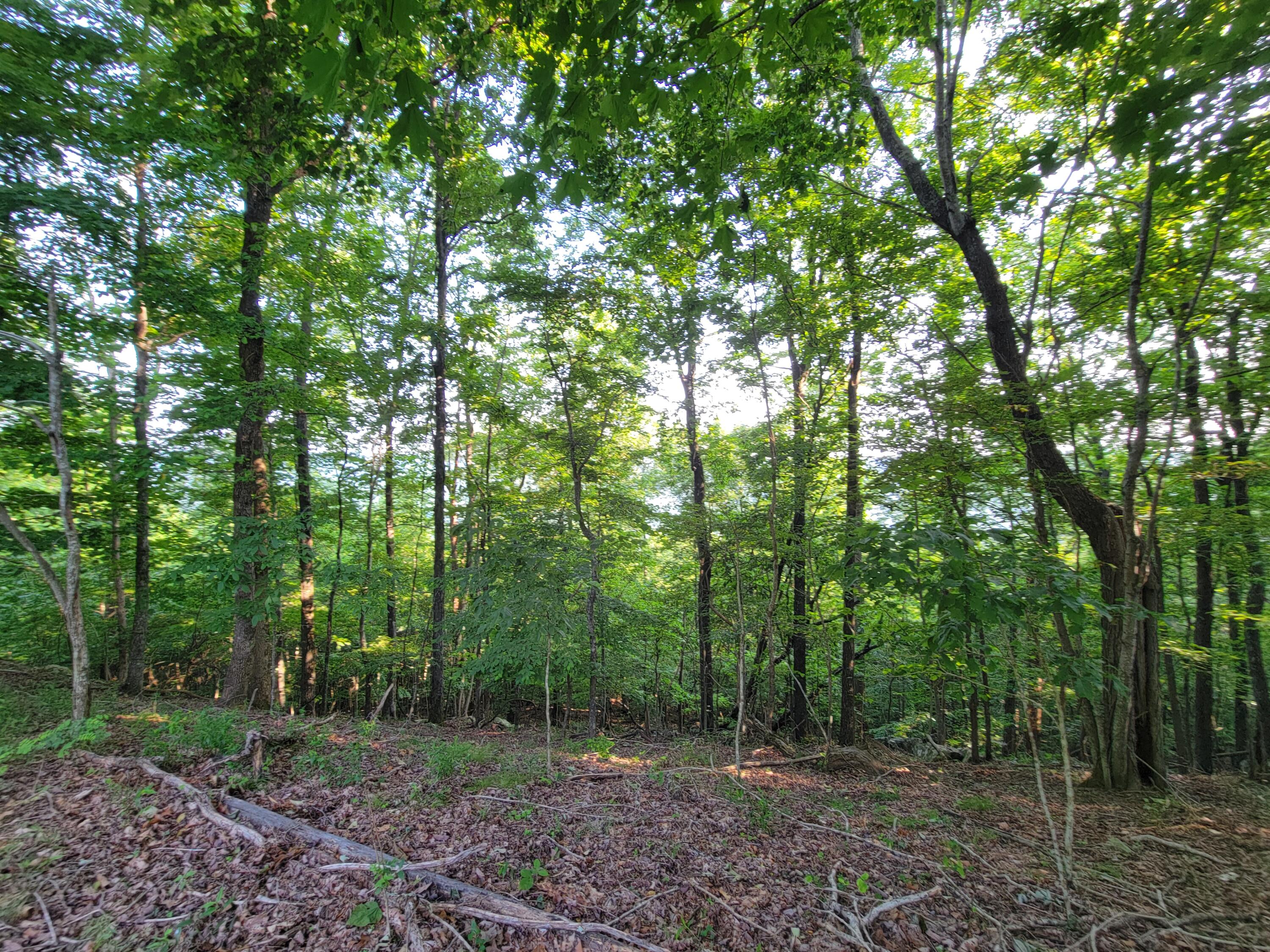 690 Preservation Drive #34, South Pittsburg, Tennessee image 13