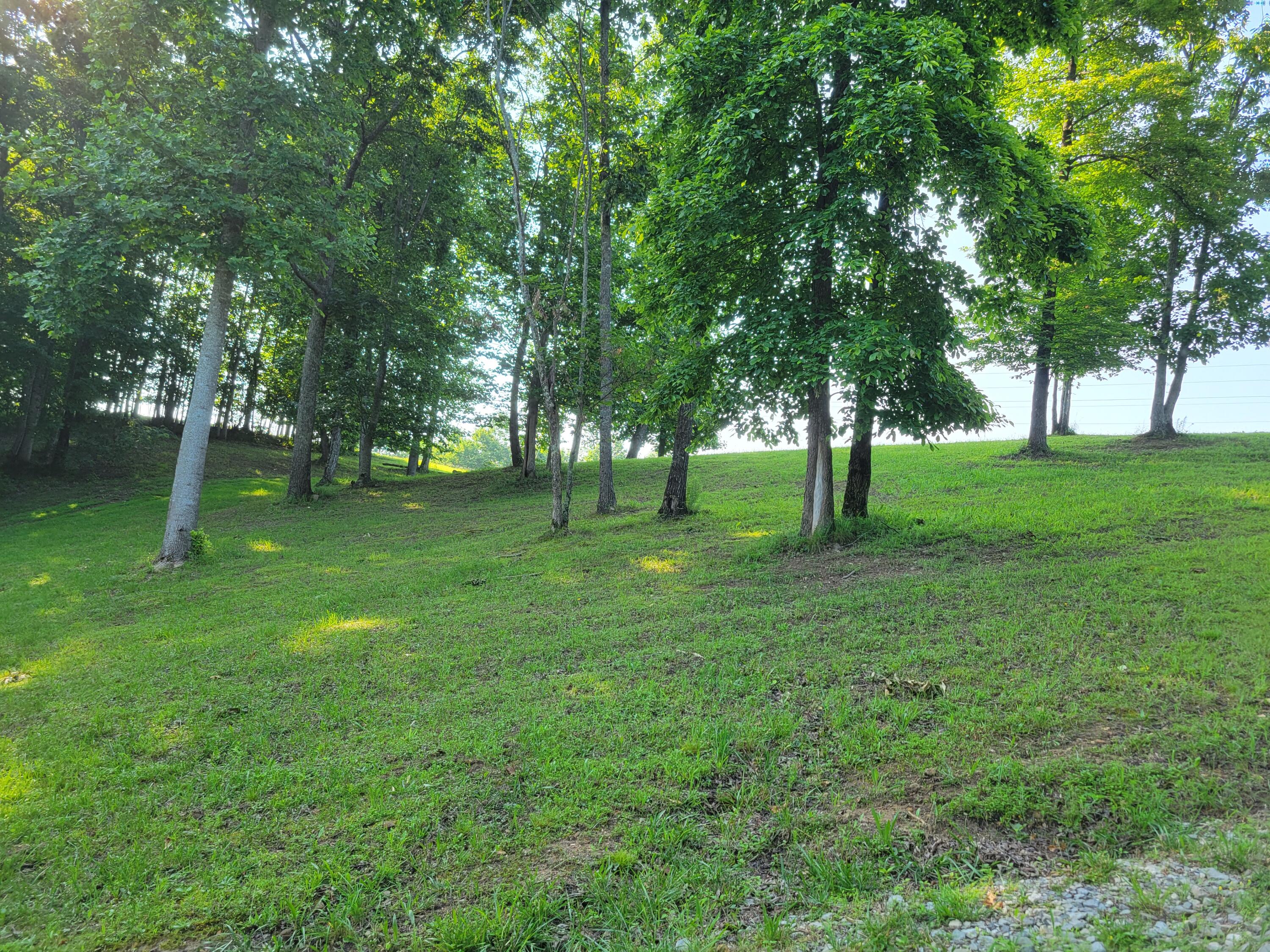 690 Preservation Drive #34, South Pittsburg, Tennessee image 9