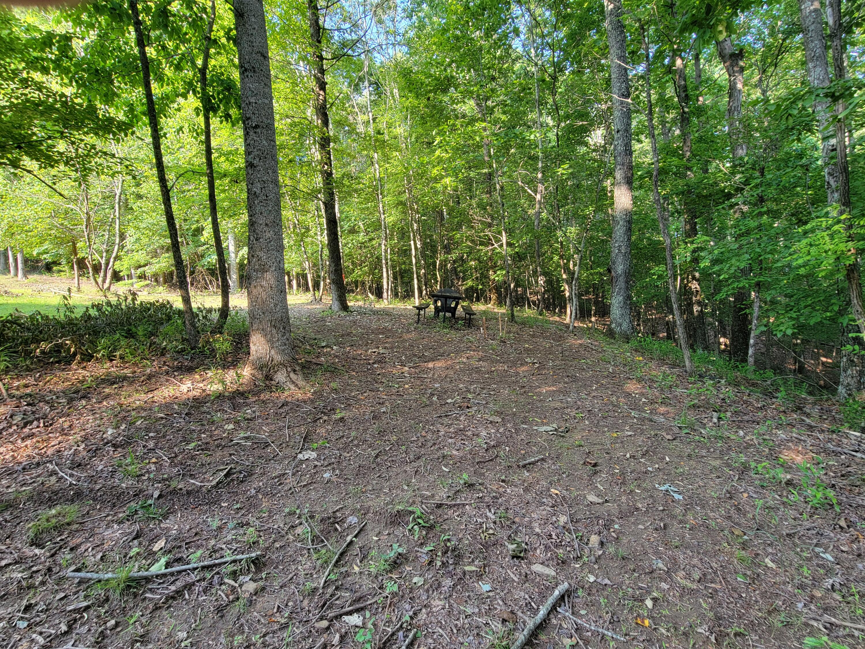 690 Preservation Drive #34, South Pittsburg, Tennessee image 16