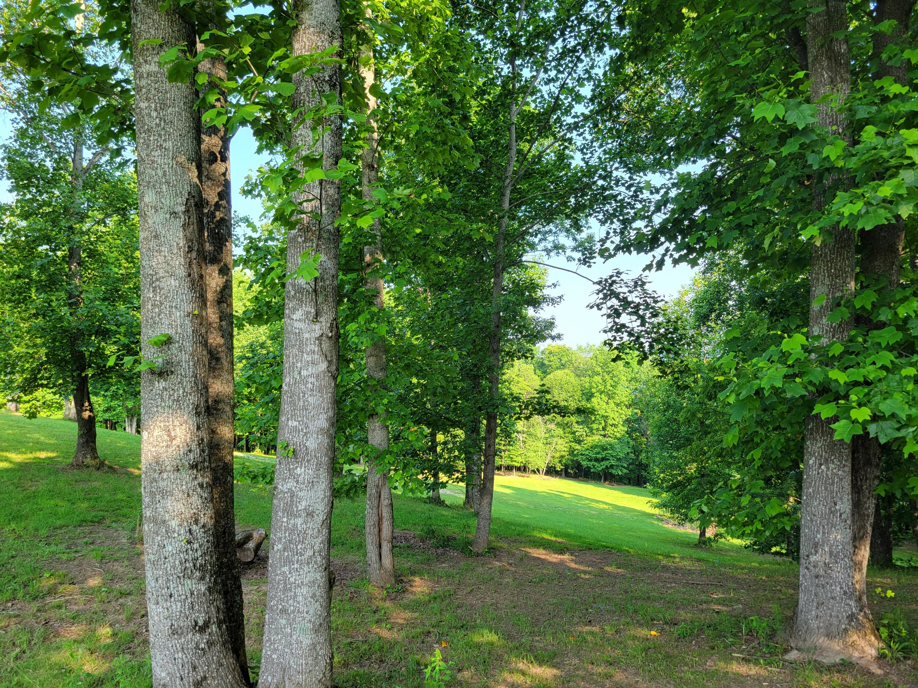 690 Preservation Drive #34, South Pittsburg, Tennessee image 20