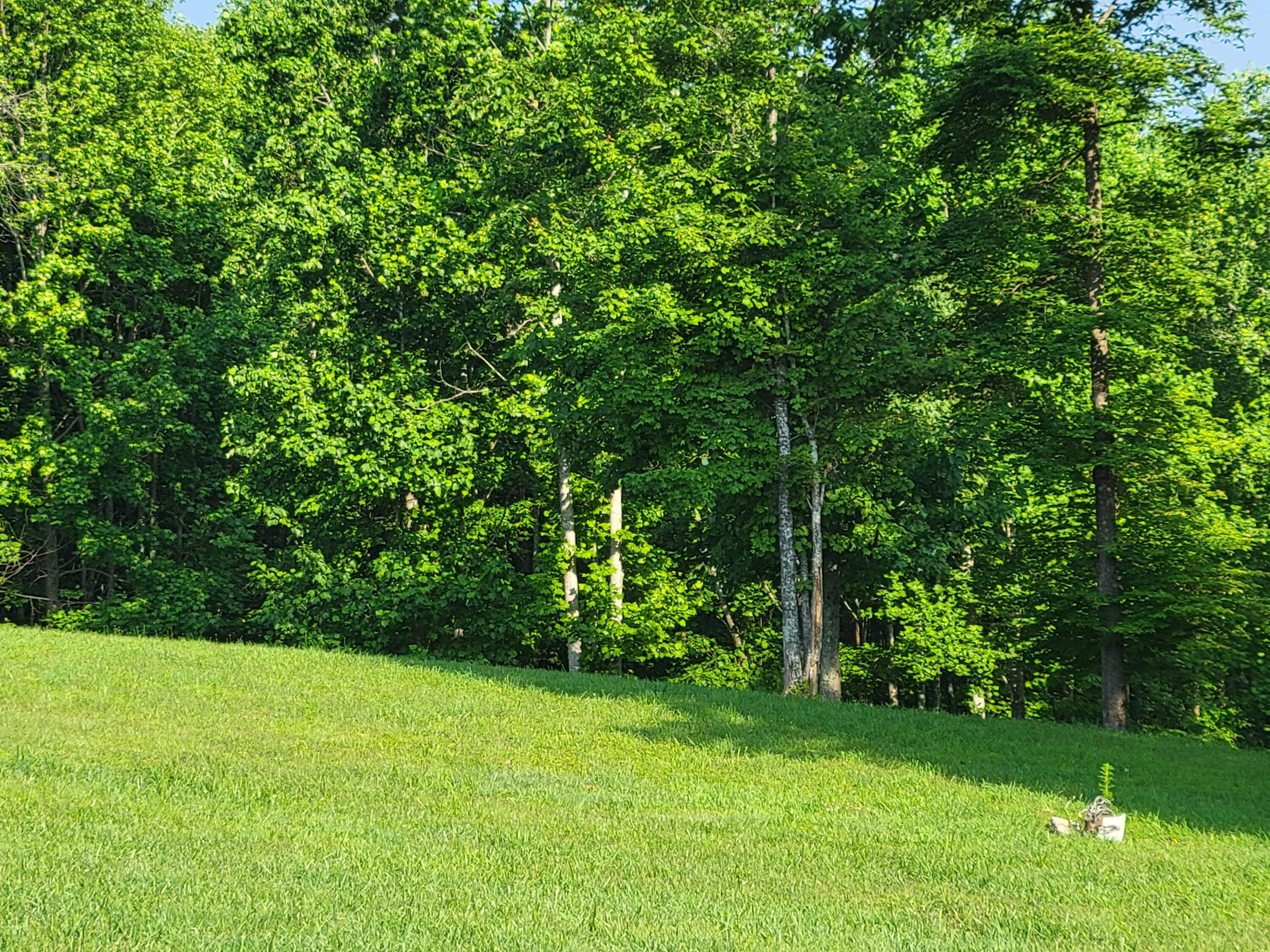 690 Preservation Drive #34, South Pittsburg, Tennessee image 24