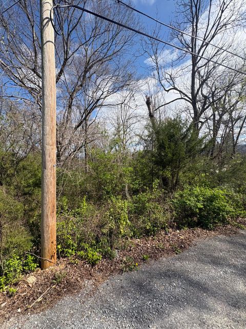 Vacant Land For Sale - 113 Alabama Avenue<br/> Mcminn County, Etowah, TN 37331