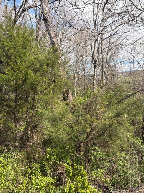 Vacant Land For Sale - 113 Alabama Avenue<br/> Etowah, TN 37331
