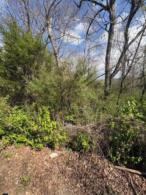 Vacant Land For Sale - 113 Alabama Avenue<br/> Etowah, TN 37331