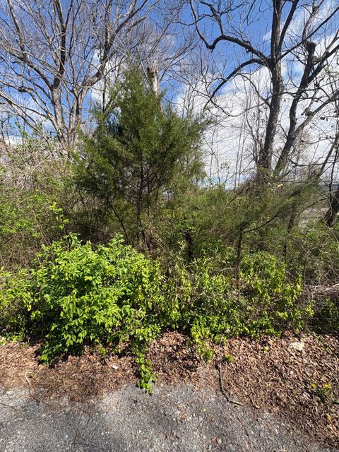 Vacant Land For Sale - 113 Alabama Avenue<br/> Mcminn County, Etowah, TN 37331