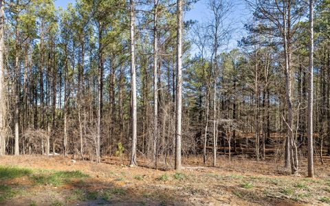 Tiny photo for Lot 1125 Split Rail Way, Guild, TN 37340 (MLS # 1526795)