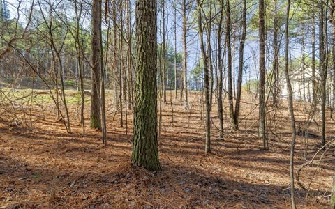 Tiny photo for Lot 1125 Split Rail Way, Guild, TN 37340 (MLS # 1526795)