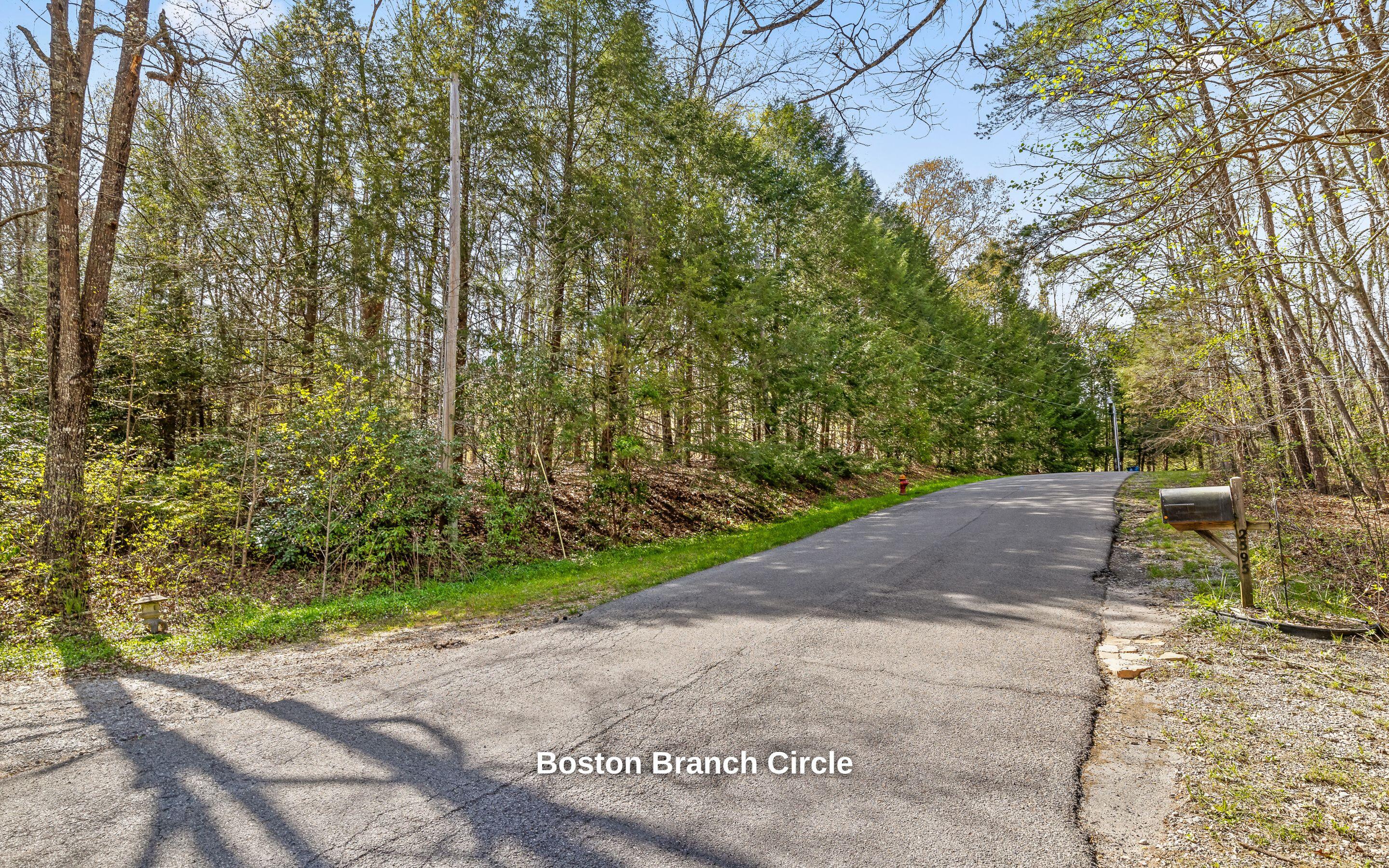 2593 Boston Branch Circle, Signal Mountain, Tennessee image 20