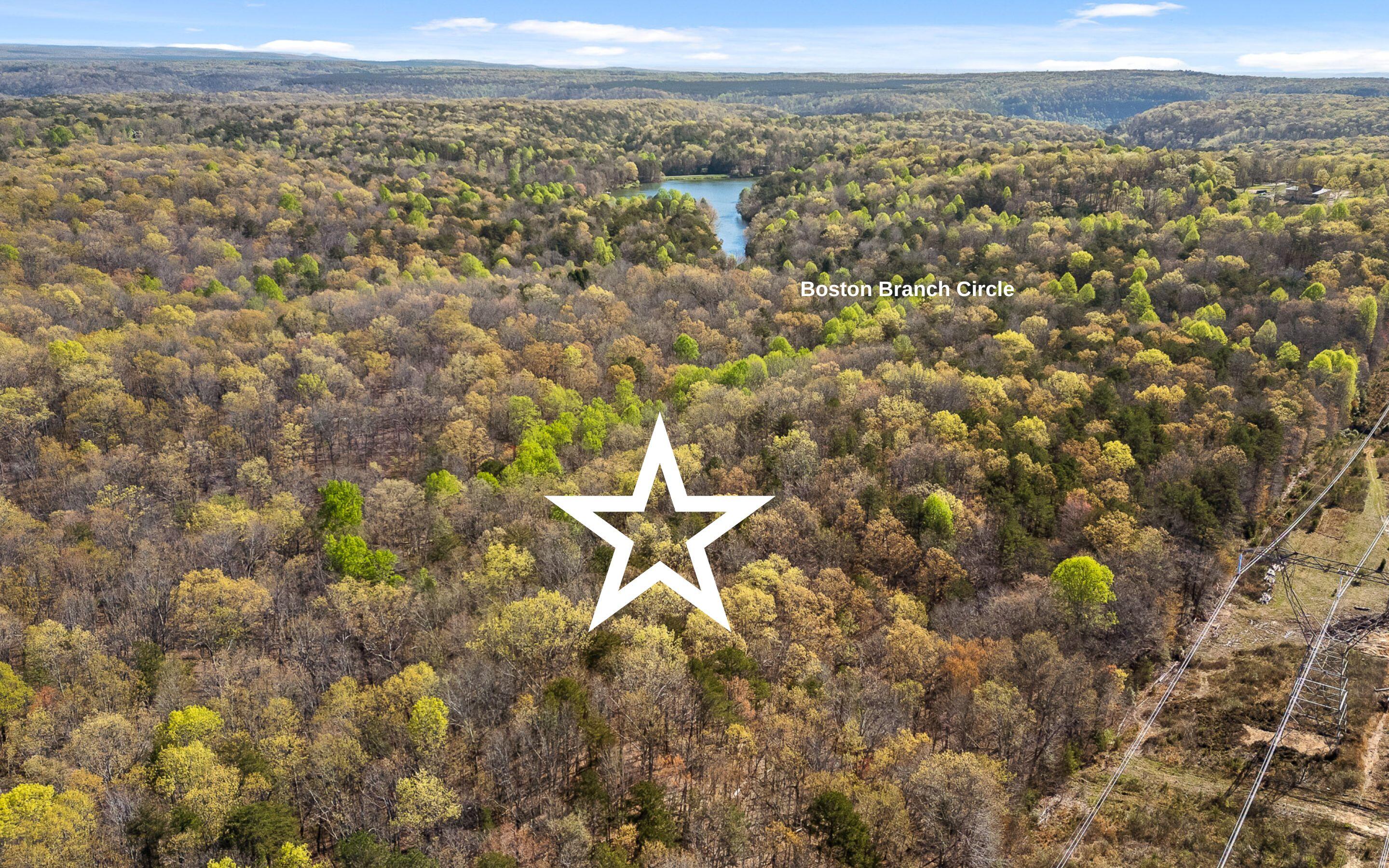 2593 Boston Branch Circle, Signal Mountain, Tennessee image 14