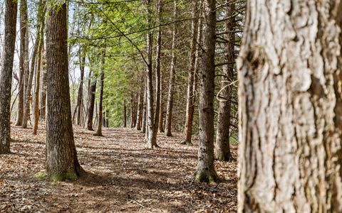 Tiny photo for 2593 Boston Branch Circle, Signal Mountain, TN 37377 (MLS # 1512937)