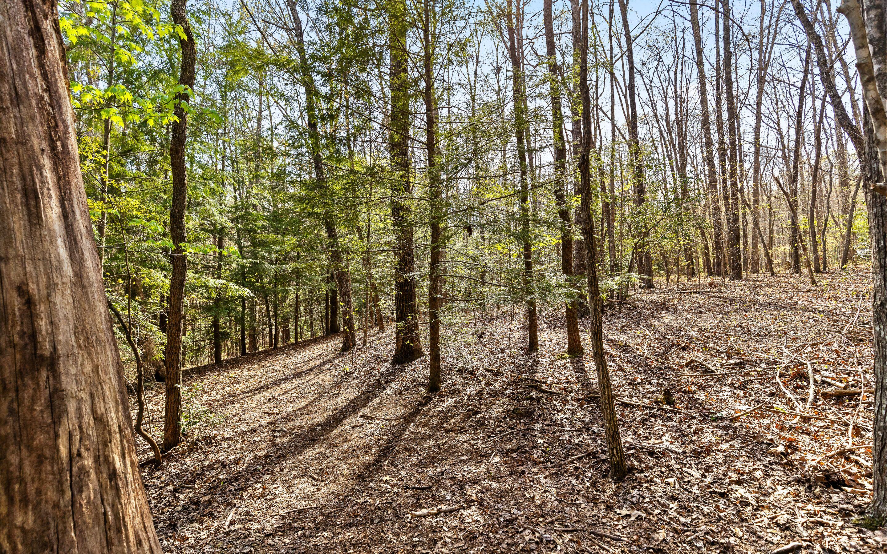 2593 Boston Branch Circle, Signal Mountain, Tennessee image 18
